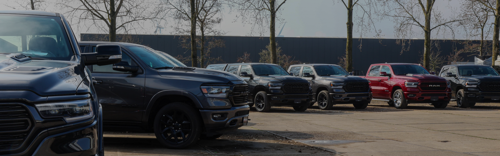 Header Image 0